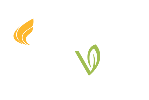 DRA Clover Logo